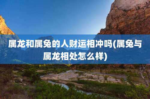 属龙和属兔的人财运相冲吗(属兔与属龙相处怎么样)