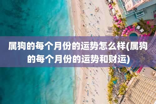 属狗的每个月份的运势怎么样(属狗的每个月份的运势和财运)