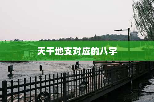 天干地支对应的八字