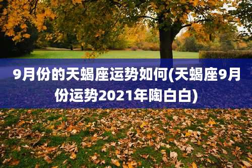 9月份的天蝎座运势如何(天蝎座9月份运势2021年陶白白)