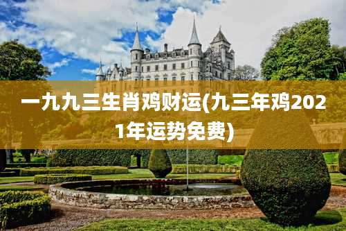 一九九三生肖鸡财运(九三年鸡2021年运势免费)
