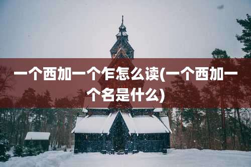 一个西加一个乍怎么读(一个西加一个名是什么)