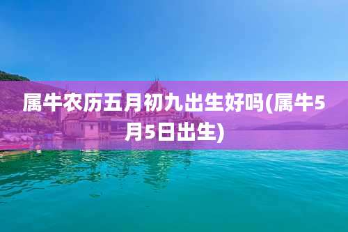 属牛农历五月初九出生好吗(属牛5月5日出生)