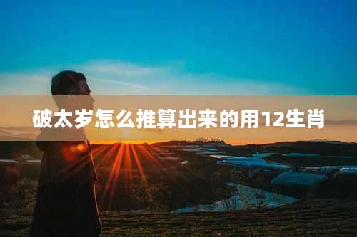 破太岁怎么推算出来的用12生肖
