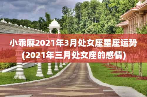 小乖麻2021年3月处女座星座运势(2021年三月处女座的感情)