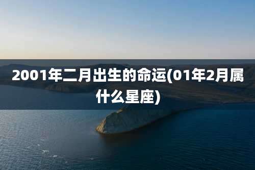 2001年二月出生的命运(01年2月属什么星座)