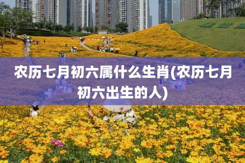 农历七月初六属什么生肖(农历七月初六出生的人)