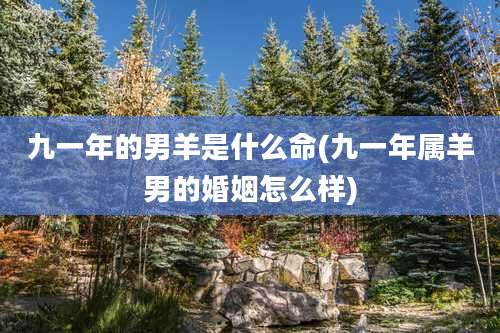 九一年的男羊是什么命(九一年属羊男的婚姻怎么样)