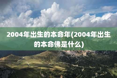 2004年出生的本命年(2004年出生的本命佛是什么)
