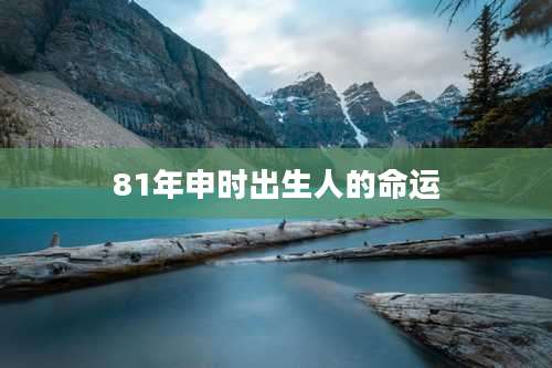 81年申时出生人的命运