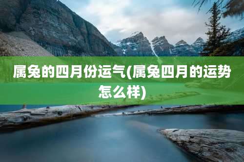 属兔的四月份运气(属兔四月的运势怎么样)