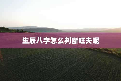 生辰八字怎么判断旺夫呢