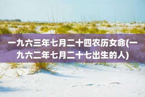 一九六三年七月二十四农历女命(一九六二年七月二十七出生的人)
