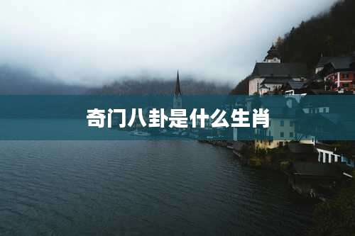 奇门八卦是什么生肖