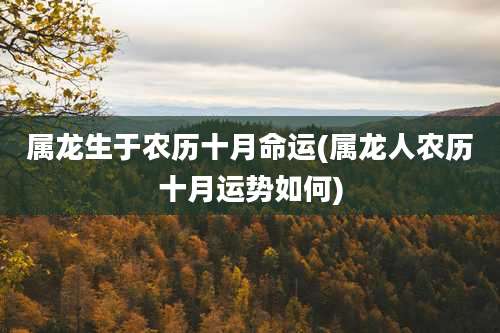 属龙生于农历十月命运(属龙人农历十月运势如何)