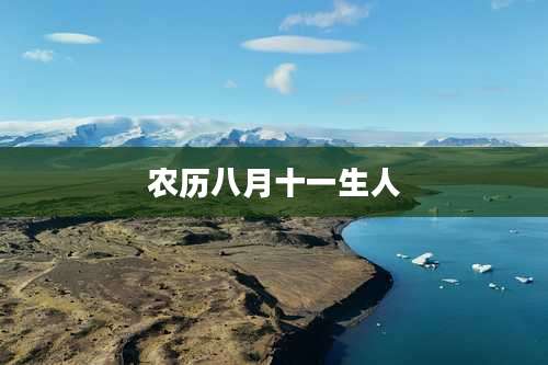 农历八月十一生人