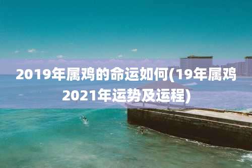 2019年属鸡的命运如何(19年属鸡2021年运势及运程)