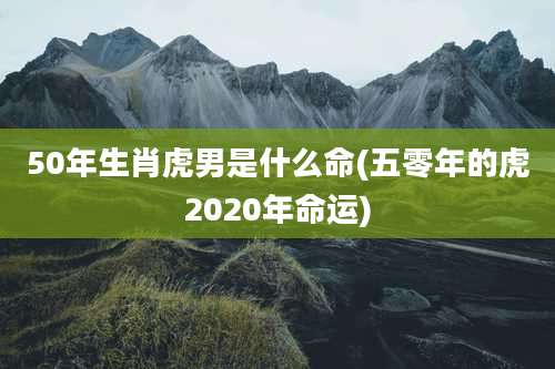 50年生肖虎男是什么命(五零年的虎2020年命运)
