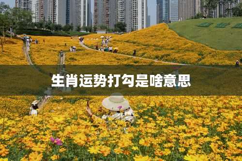 生肖运势打勾是啥意思