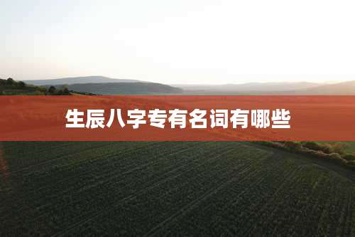 生辰八字专有名词有哪些