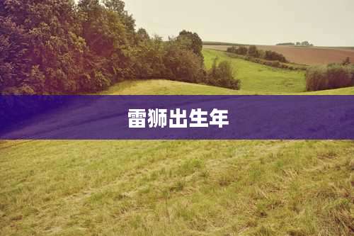 雷狮出生年