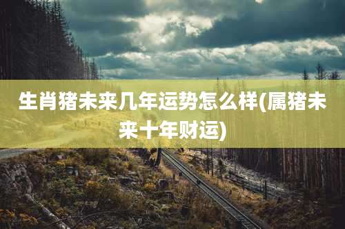 生肖猪未来几年运势怎么样(属猪未来十年财运)