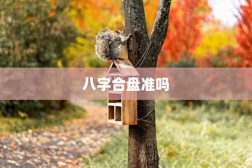 八字合盘准吗