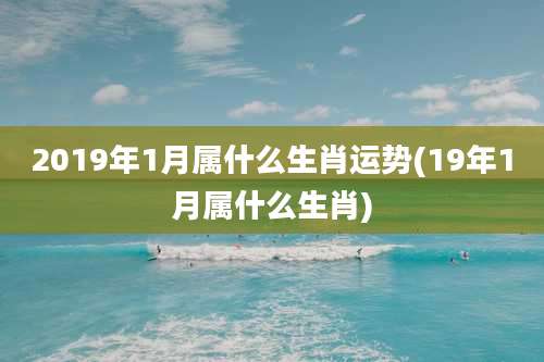 2019年1月属什么生肖运势(19年1月属什么生肖)
