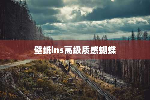 壁纸ins高级质感蝴蝶
