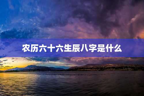 农历六十六生辰八字是什么