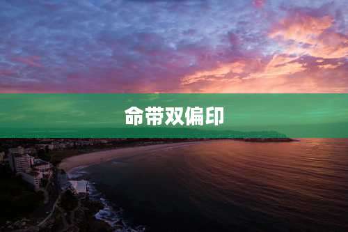 命带双偏印