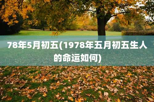 78年5月初五(1978年五月初五生人的命运如何)