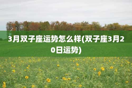 3月双子座运势怎么样(双子座3月20日运势)