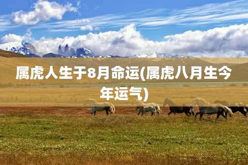 属虎人生于8月命运(属虎八月生今年运气)