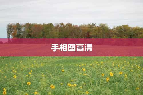 手相图高清