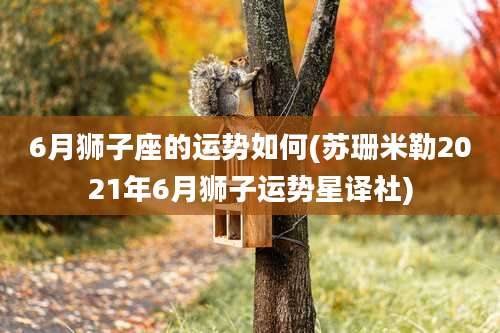 6月狮子座的运势如何(苏珊米勒2021年6月狮子运势星译社)