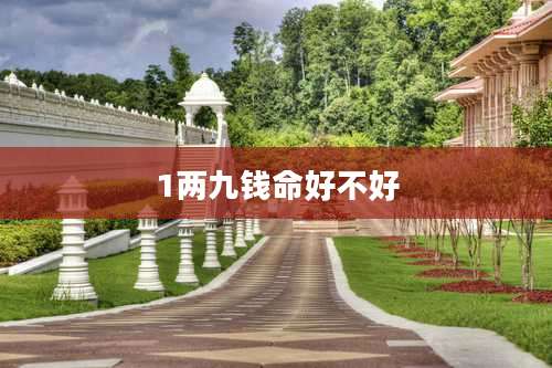 1两九钱命好不好