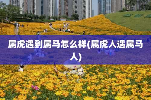 属虎遇到属马怎么样(属虎人遇属马人)