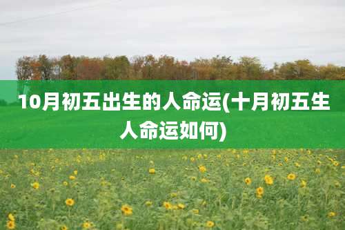 10月初五出生的人命运(十月初五生人命运如何)