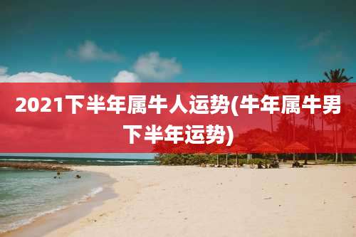 2021下半年属牛人运势(牛年属牛男下半年运势)