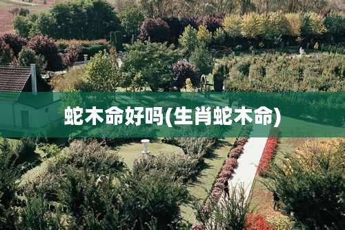 蛇木命好吗(生肖蛇木命)