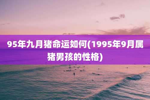 95年九月猪命运如何(1995年9月属猪男孩的性格)