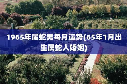 1965年属蛇男每月运势(65年1月出生属蛇人婚姻)