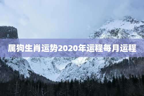 属狗生肖运势2020年运程每月运程