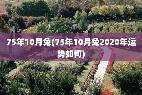 75年10月兔(75年10月兔2020年运势如何)