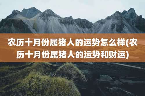 农历十月份属猪人的运势怎么样(农历十月份属猪人的运势和财运)