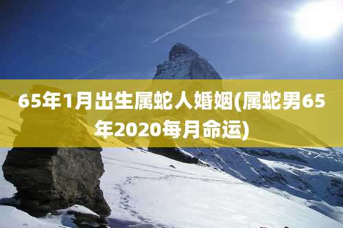 65年1月出生属蛇人婚姻(属蛇男65年2020每月命运)