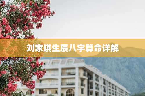 刘家琪生辰八字算命详解