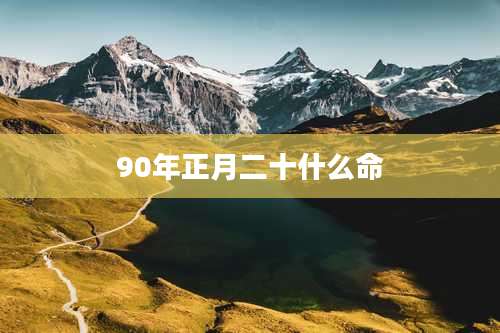 90年正月二十什么命
