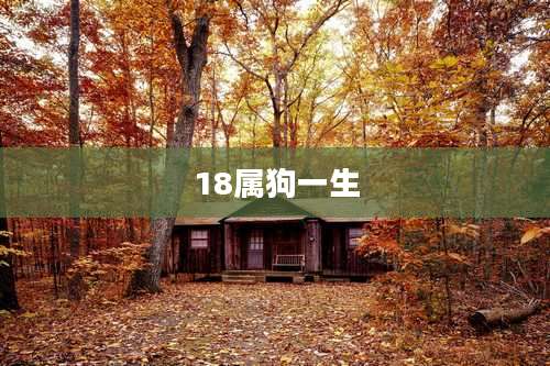 18属狗一生